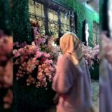 жᴇнᴄᴋᴏᴇ ᴨᴩᴏᴄᴛᴩᴀнᴄᴛʙᴏ 💐