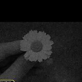 🕊️𝘾𝙝𝙪𝙣𝙠𝙞 𝙗𝙪 𝙗𝙞𝙯🕊️