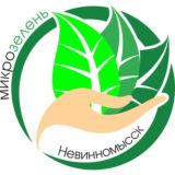 Микрозелень Невинномысск