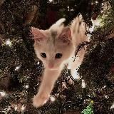 «🌻МориНнэко.Forest⋆Pony Town⋆Artist☕»