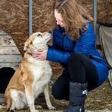 Исповедь волонтера