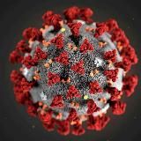 Health-правда.