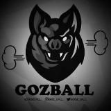 Gozball 😂⚽