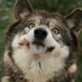бумажка передающаяся под партами
