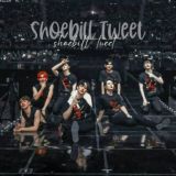 sʜᴏᴇʙɪʟʟ ᴛᴡᴇᴇᴛ ༄