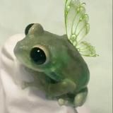 Дед инсайдерские записки