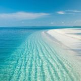 🆓ЛАНС TELEGRAM💸