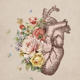 Медицина|Материалы