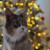 ✨ Парфкотики ✨