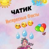 Чатик интересные факты😍😍😍