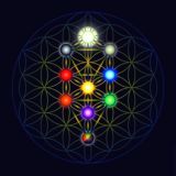 Колесо фортуны