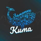 Заметки кита