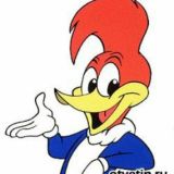WOODY chat BARNAUL