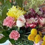 Цветы Буэнос-Айрес