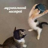 The Scarlet guitar of regret