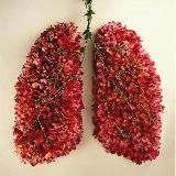 🌓𝒂𝒕𝒕𝒆𝒏𝒕𝒊𝒐𝒏