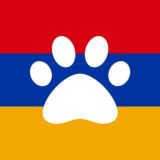 🇦🇲 Армения: Переезд с питомцем 🐕 🐈 🐁