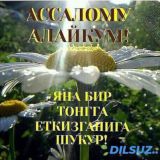 𝙕𝘼𝙆𝘼𝙕 𝙈𝙐𝙎𝙄𝙆