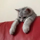 Грустные комментарии