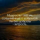 Афоризмы | Цитаты