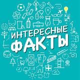 Интересные факты 🧠