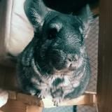 Три безумца🫣🫶