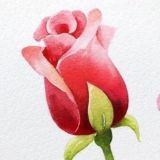 Рисуем акварелью — Чат