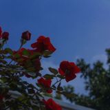 𝙉𝙪𝙢𝙗𝙞𝙫𝙖𝙜𝙤☁️