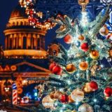 ﹊﹍♡۩🇶 σяα кσ'🇿۩♡﹍﹉