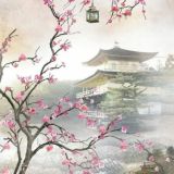 🍒Cherry blossoms🌸