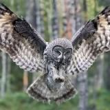 Сказкотерапия