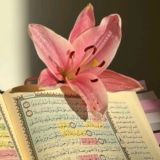 وَرتـلِ القـرآن