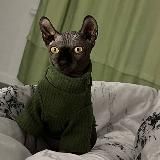 vidᴇᴏ idᴇᴀs||ʙy vlᴀʍi