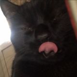 ПОПУЛЯРНЫЕ WEB3 ФАРМИЛКИ