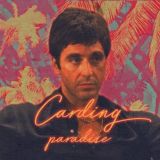 Carding Paradise 💸