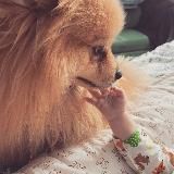 Версия жизни 2.0