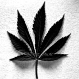 ☘️мαяιχυαииα ☘️/UYDA QOLING