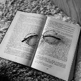 Егор Князев • law, literature & life