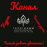 ОТЗЫВЫ КУРТА