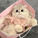 𝒉𝒆𝒂𝒗𝒆𝒏.𝒘𝒃 ༉‧₊˚.