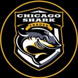Chicago Shark Инвестиции в акции