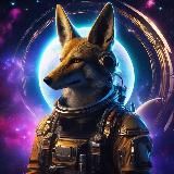 Система "Койот"