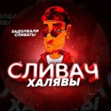 Сливач Халявы’