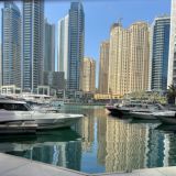 FREE MONEY 💸 Guide 💸