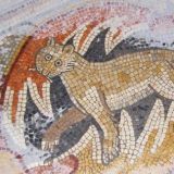 Tregubov's Purrple Chamber