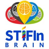 Official STIFIn Brain