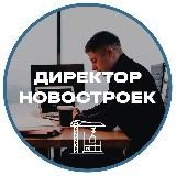 Директор