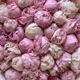 Мусульманка дома