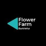 Выплаты с Flower Farm