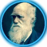 АйболитСергеевич